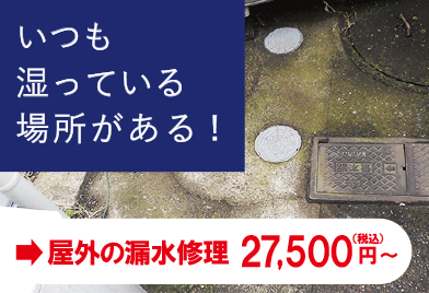 いつも湿っている場所がある！